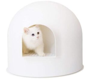 Best Outdoor Cat Litter Boxes