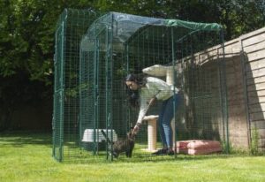 Best Outdoor Cat Enclosures