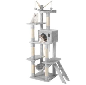 Best Cat Trees for Large Cats