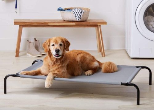 Best Cooling Dog Beds