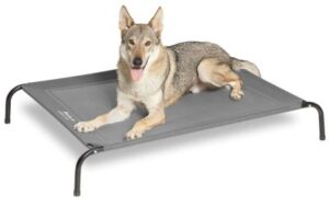 Best Cooling Dog Beds