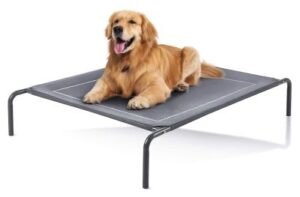 Best Cooling Dog Beds