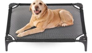 Best Cooling Dog Beds