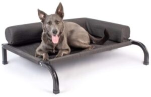 Best Cooling Dog Beds