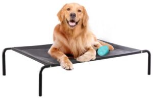 Best Cooling Dog Beds