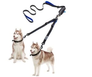 Best Double Dog Leashes