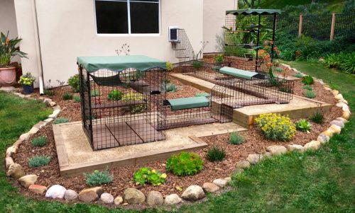 Best Outdoor Cat Enclosures