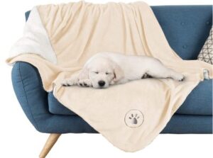 Best Couch Covers for Dogs