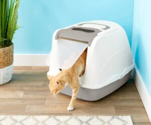 Best Dog Proof Litter Boxes