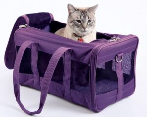 Best Soft-Sided Cat Carriers