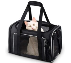 Best Soft-Sided Cat Carriers