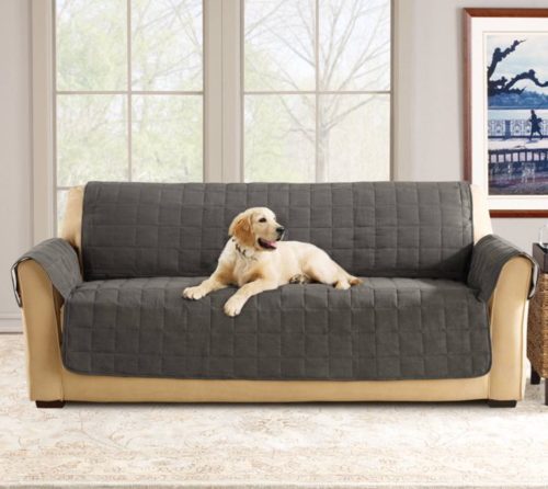 Best Couch Covers for Dogs