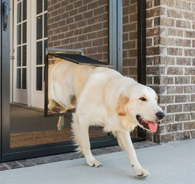 7 Best Dog Proof Screen Doors Protect Your Screens From Running Pets   1 3 