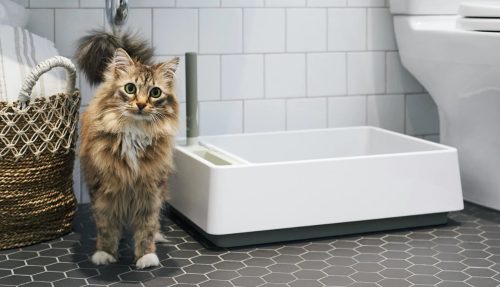 Best Cat Litter Box Liners