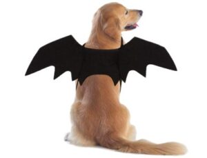 Best Dog Halloween Costumes