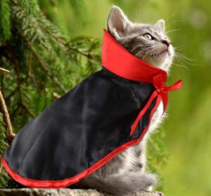 Best Halloween Costumes for Cats