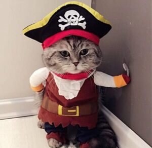 Best Halloween Costumes for Cats