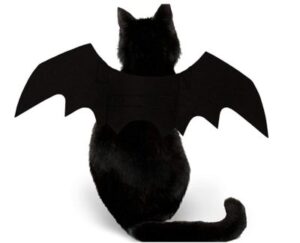 Best Halloween Costumes for Cats