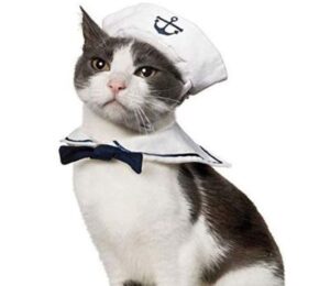 Best Halloween Costumes for Cats