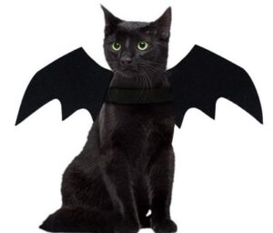 Best Halloween Costumes for Cats