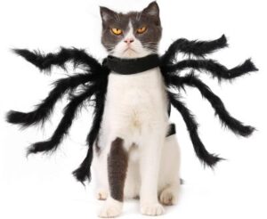 Best Halloween Costumes for Cats