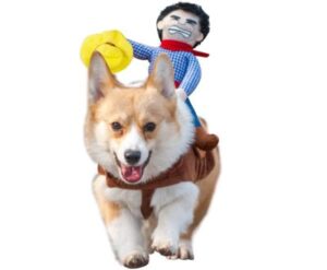 Best Dog Halloween Costumes