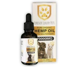 Best CBD Oils for Dogs