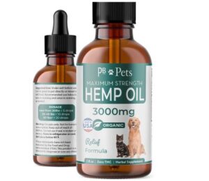 Best CBD Oils for Dogs