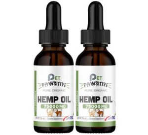 Best CBD Oils for Dogs