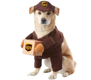 Best Dog Halloween Costumes