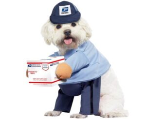 Best Dog Halloween Costumes