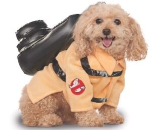 Best Dog Halloween Costumes