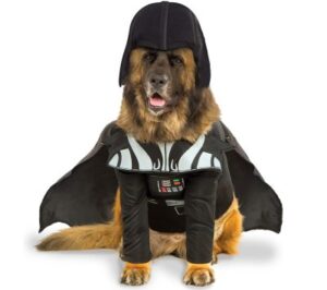 Best Dog Halloween Costumes