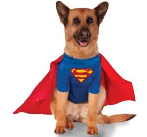 Best Dog Halloween Costumes