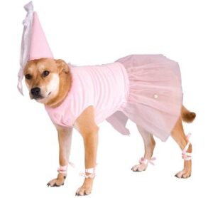 Best Dog Halloween Costumes