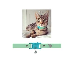 Best Cat Collars with Bells