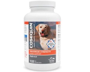 Best Dog Joint Supplements