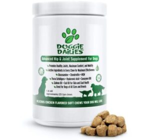 Best Dog Joint Supplements