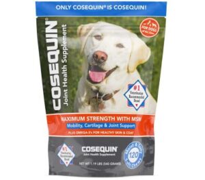 Best Dog Joint Supplements