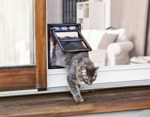 Best Cat Doors for Screens  