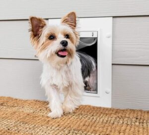 Best Cat Doors for Screens  