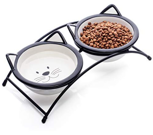 Best Elevated Cat Bowls