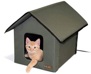 Best Heated Cat Houses