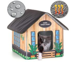 Best Heated Cat Houses