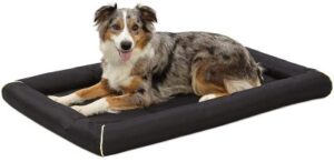 Best Dog Crate Pads for Chewers