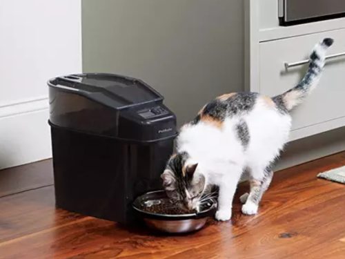 auto cat feeder for two xats