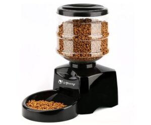 Best Automatic Cat Feeder for Multiple Cats