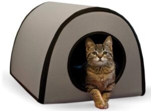 Best Heated Cat Houses