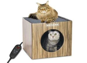 Best Heated Cat Houses