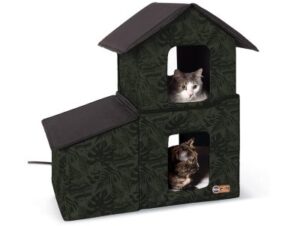 Best Heated Cat Houses